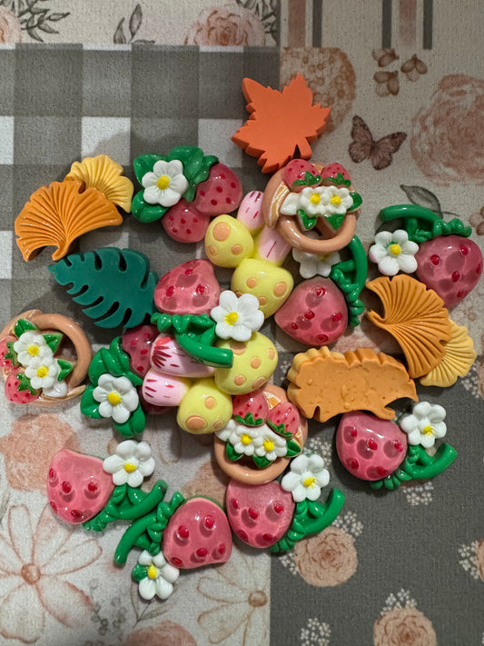 Fruity Mushroom Charm Mix (45g)